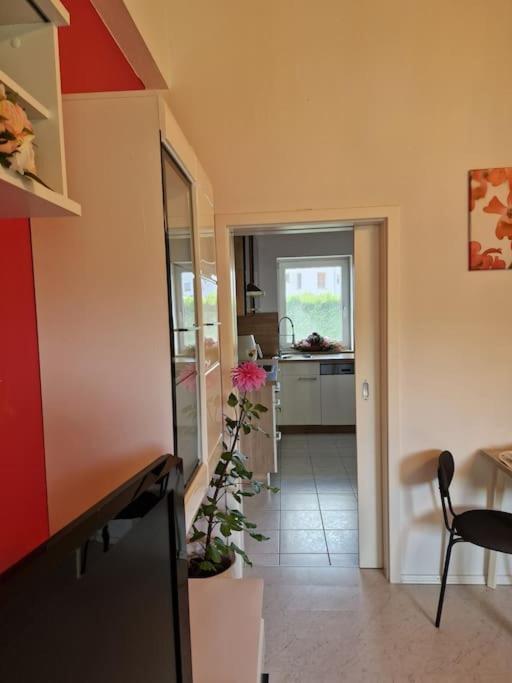 Ferienwohnung Bayernbrise Rohrdorf  Kültér fotó
